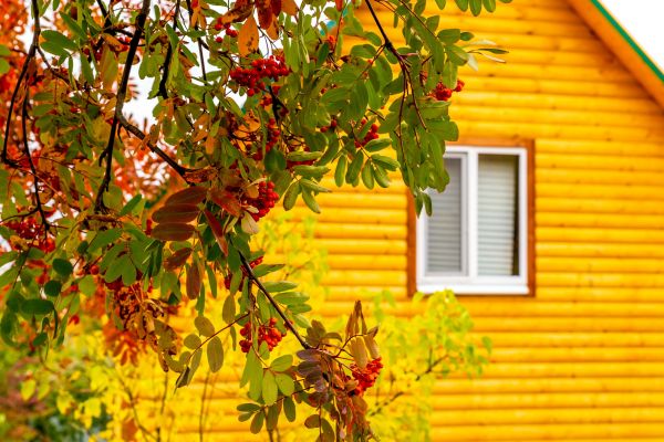Cost of Garden Window Replacement in Waukesha